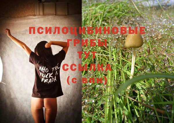 мяу мяу мука Арсеньев