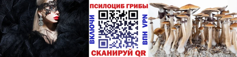 как найти закладки Гурьевск Галлюциногенные грибы Cubensis