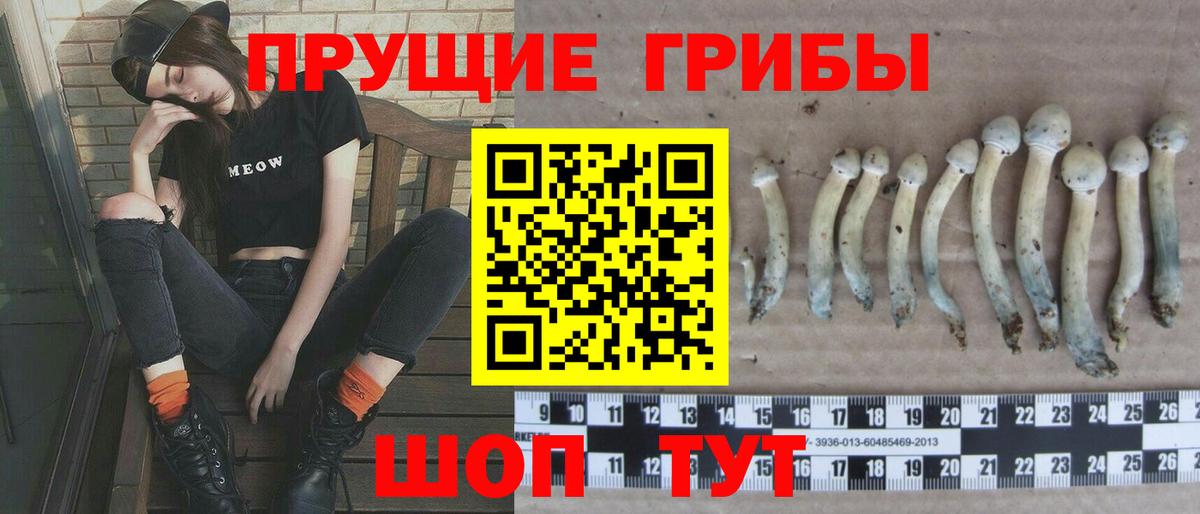 Галлюциногенные грибы прущие грибы Гурьевск