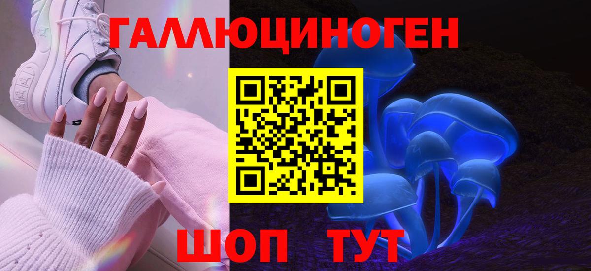 Гурьевск  Галлюциногенные грибы прущие грибы  Вход с VPN 