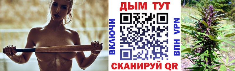 Конопля план Гурьевск